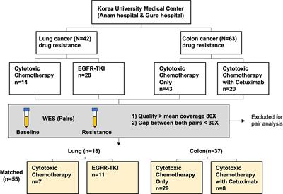 Genetic Characteristics Associated With Drug Resistance in Lung Cancer and Colorectal Cancer Using Whole Exome Sequencing of Cell-Free DNA